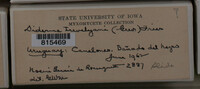 Image Associated With the Occurence